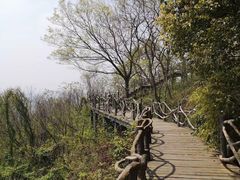 -南京市江宁方山