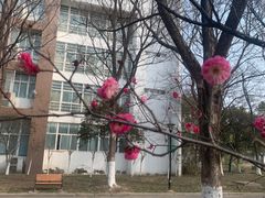 -南京林业大学(淮安校区)