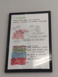 -佳慕皮肤管理连锁