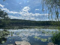 -承德避暑山庄景区