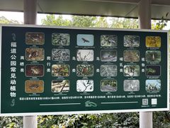 -福道