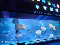 -泉城欧乐堡海洋极地世界