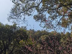 -宁波市保国寺古建筑博物馆