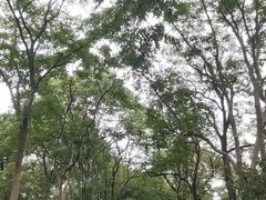 -西湖外事游船(花港观鱼码头)