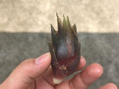 -秀水人家