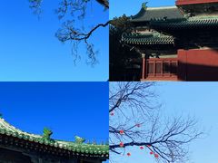 -隆兴寺
