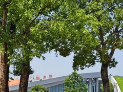 -合肥滨湖国家森林公园