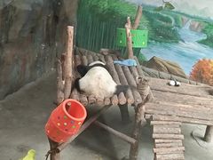 -青藏高原野生动物园