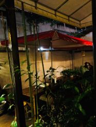 -汉刺青TATTOO STUDIO