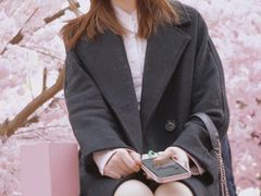-金茂览秀城