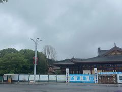 -庐山风景名胜区-东林大佛