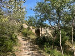 -蟠龙山长城景区