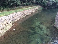 -白云源风景区