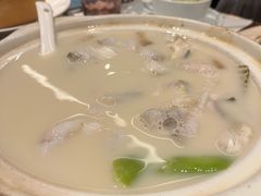 浓汤桂鱼配脆米-港丽餐厅(杭大店)