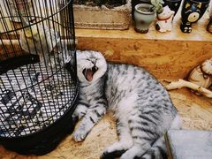 -拾壹cafe·工作室