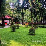 隐藏在老城区别致的小公园
