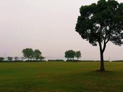-苏州金鸡湖大酒店