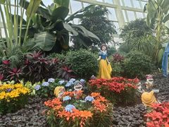 -石家庄市植物园