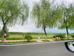 -洨河生态公园