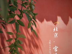-故宫博物院(故宫)