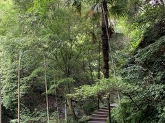 -宁波五龙潭景区