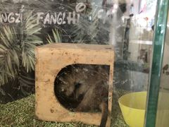 -平行世界·猫咖(首经贸店)