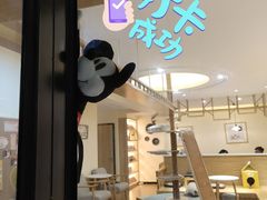 -滚猫咖啡·猫咖·猫友好撸猫(未来城店)