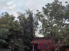 -傣泐金湾餐厅