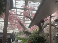 -滕头生态酒店(奉化店)