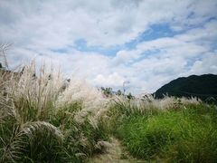 -海窝子古镇