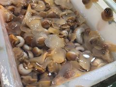 -新农都水产市场