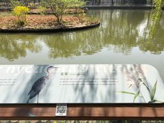 -将府公园
