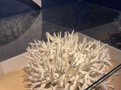 -天津自然博物馆