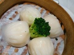 虾饺皇-凯逸轩·匠心粤菜(中城名仕汇店)