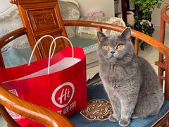 -海底捞火锅(杭州萧山宝龙广场店)