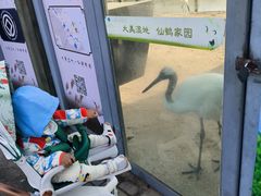 -盐城丹顶鹤湿地生态旅游区