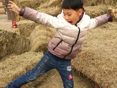 -月河湾马术俱乐部(朝阳店)