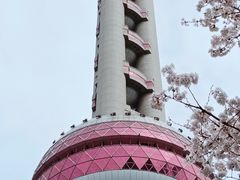 -东方明珠广播电视塔