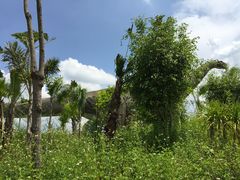 -龙谷湾旅游休闲度假区