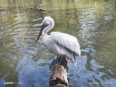 -济南野生动物世界