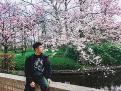 -库肯霍夫公园