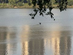 -长白岛森林公园