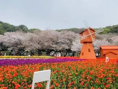 -苏州上方山国家森林公园