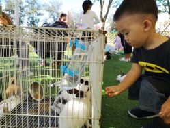 -萌宠亲子动物乐园(槐房万达店)