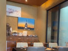 -Efes Turkish & Mediterranean Cuisine 艾菲斯餐厅(陆家嘴店)