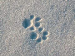 -布丁严选酒店(杭州武林西湖文化广场地铁站店)