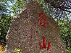 -鲁山国家森林公园