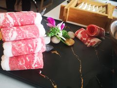 -菌子鲜汤野生菌锅