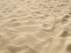 -日照海滨国家森林公园