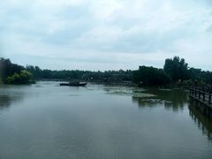-大湾区中央湿地公园